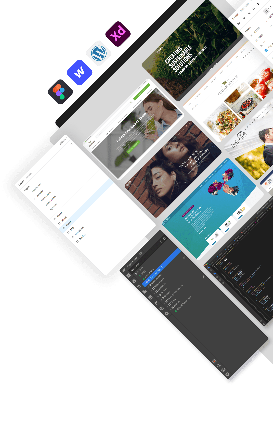 Web Design and Development