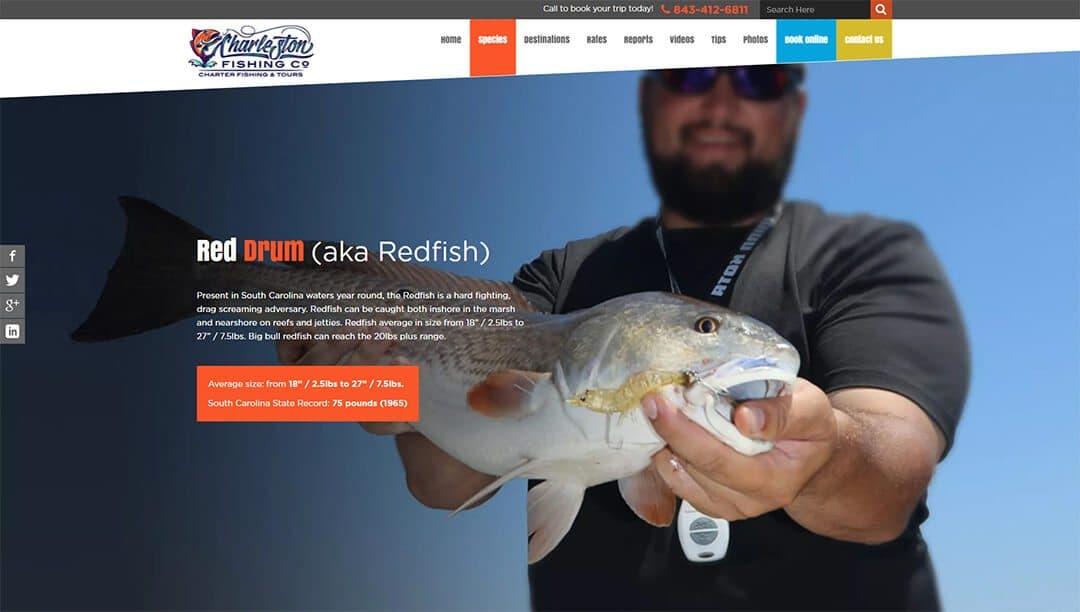 Charleston-Fishing-Company_Species